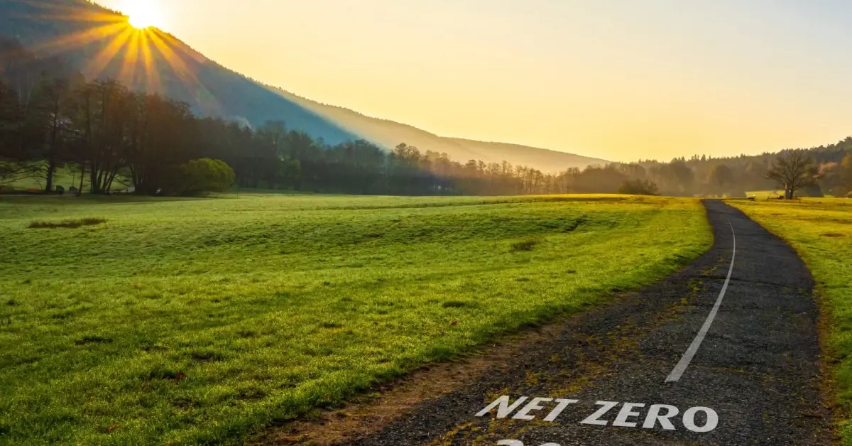 Green field with a road that says _Net Zero 2050_ in the middle